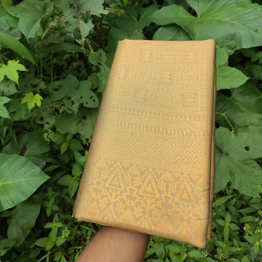 Vaidehi Vastra Regal Golden Weave Soft Silk